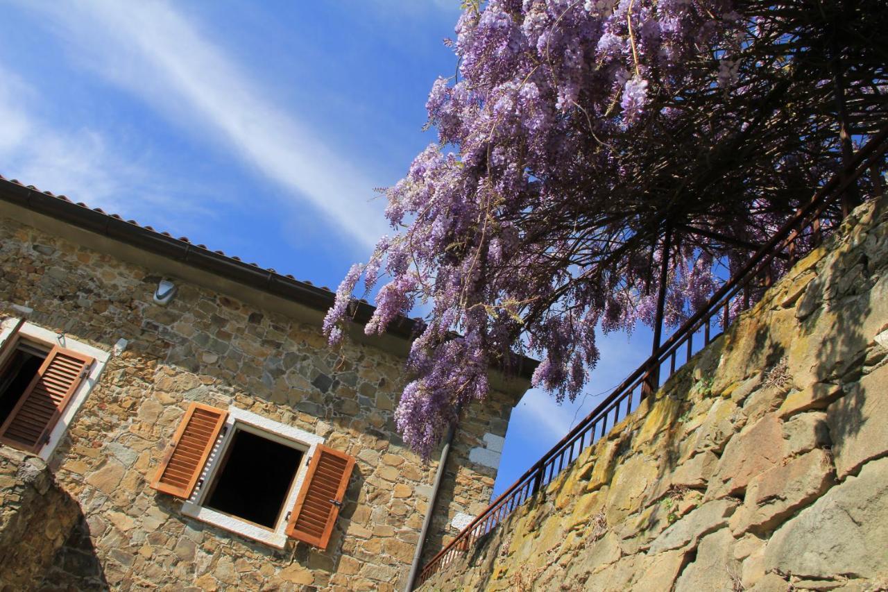 Vila Convento La Perla Carrara Exteriér fotografie